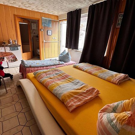 Cozy Unterkunft Im Spreewald Nahe Tropical Islands Golßen Eksteriør bilde