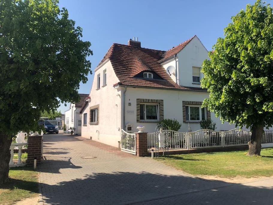 Cozy Unterkunft Im Spreewald Nahe Tropical Islands Golßen Eksteriør bilde